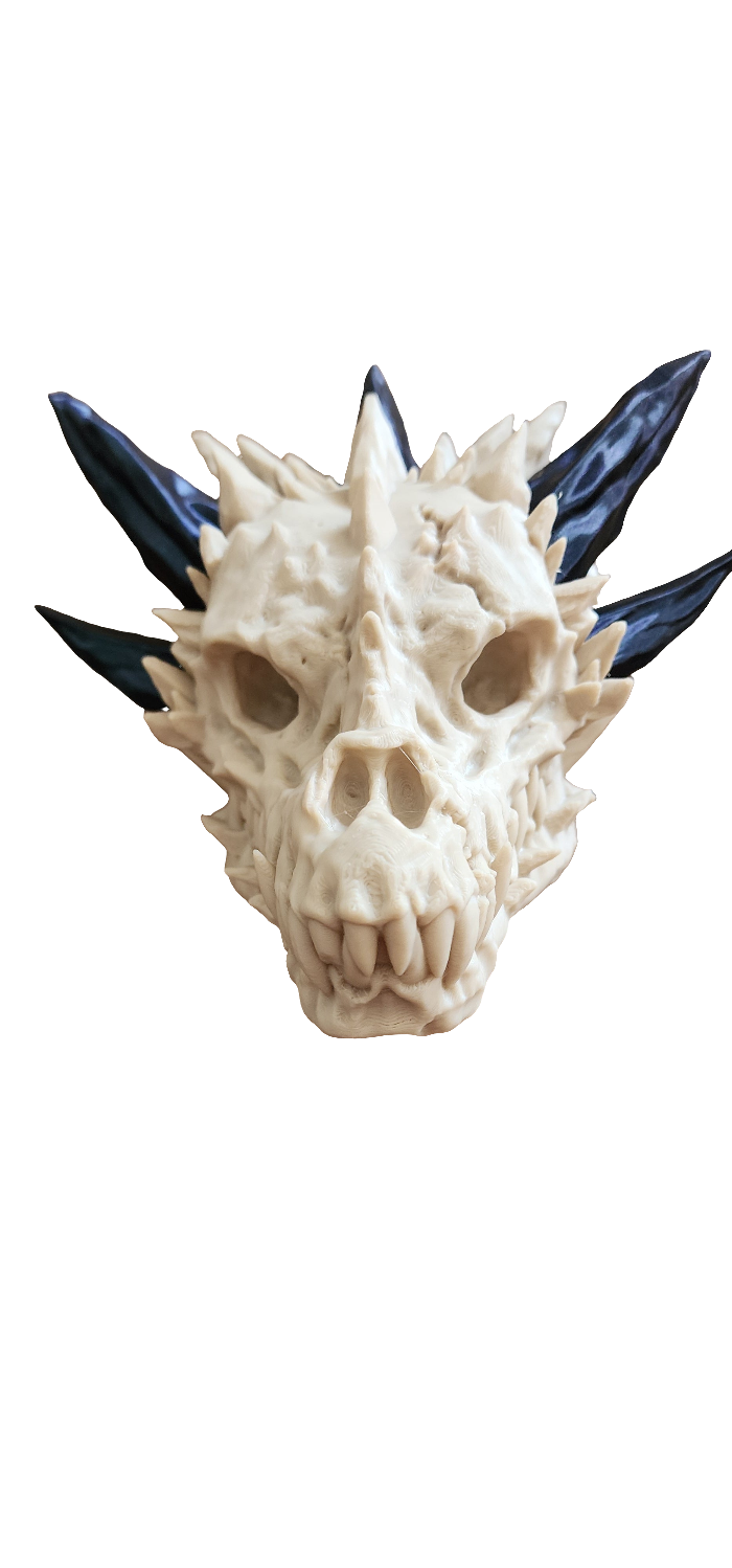 Crystal dragon Skull Wall Mount Small Assembled