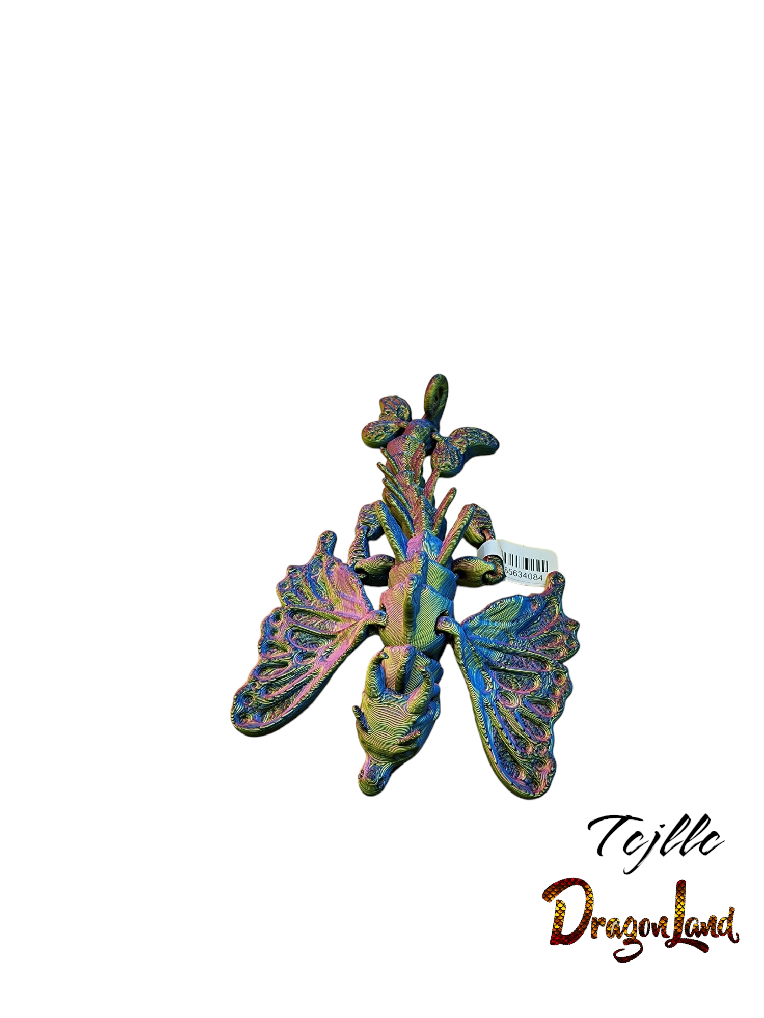 Butterfly Dragon Tadling