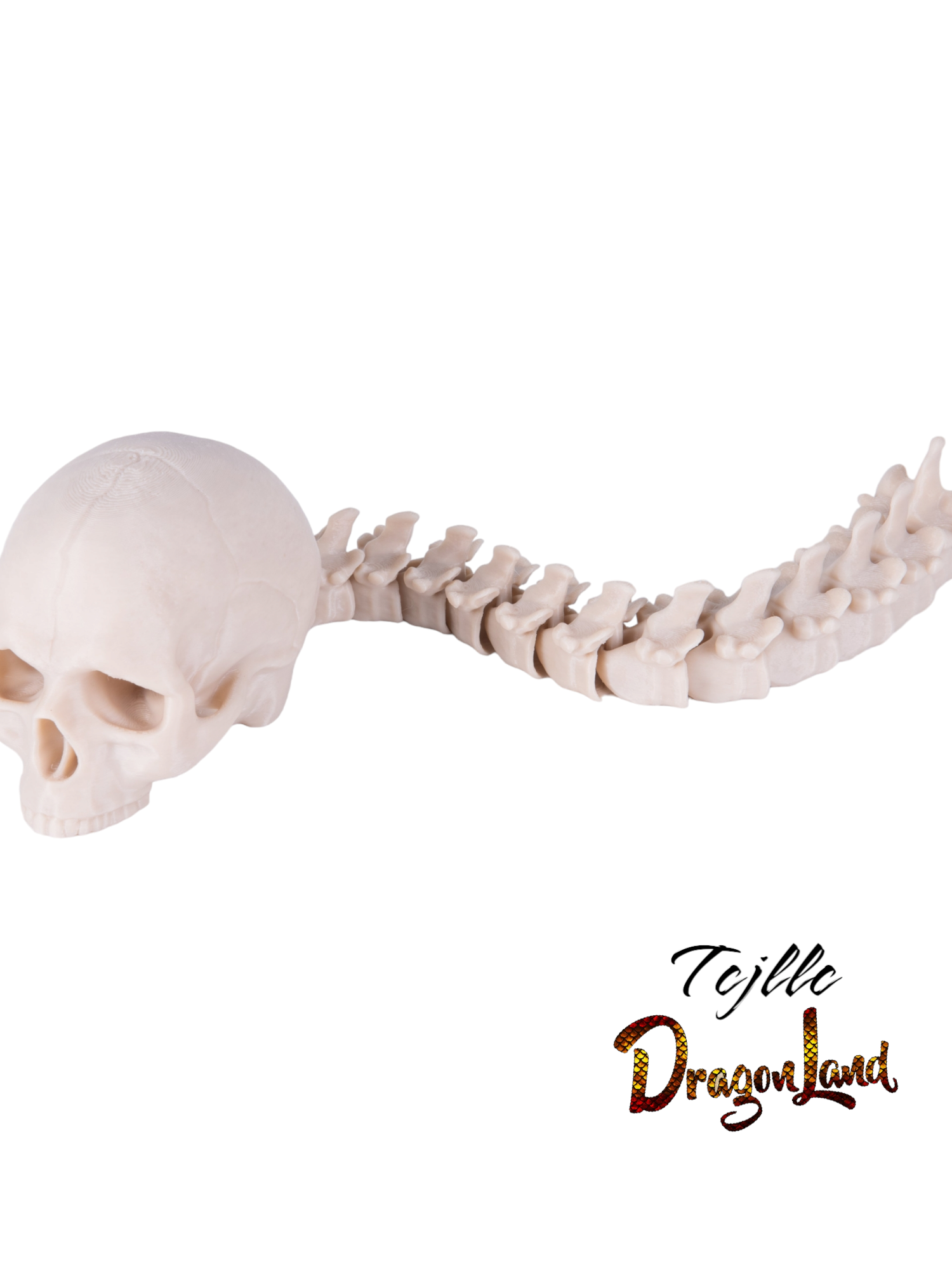 Predator skull and spine