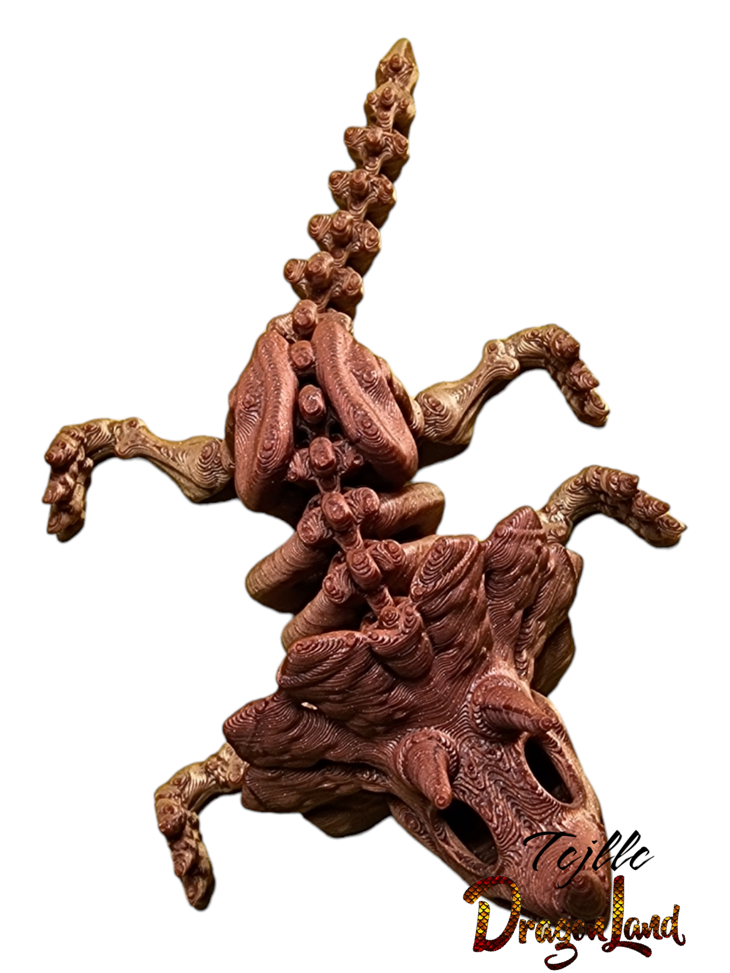 Skeleton Triceratops Small Dino