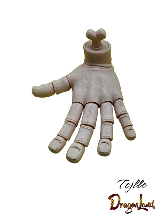 Hand Wrist Bone