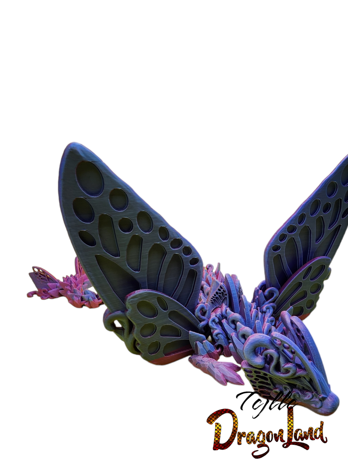 Butterfly Dragon Large Wing (Reg)