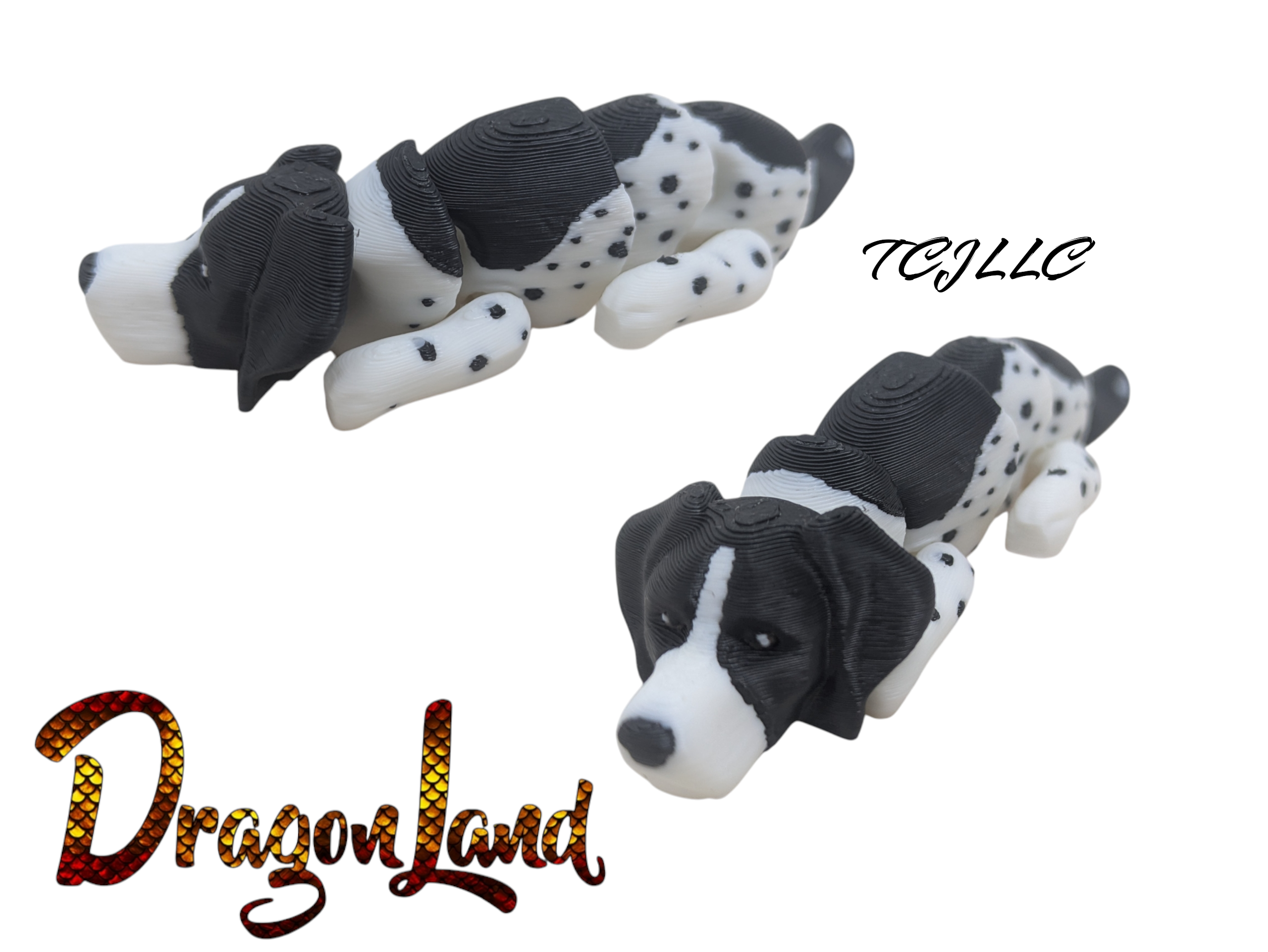 Dalmation